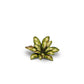 Gamers Grass - Laser Plants - Dumb Cane