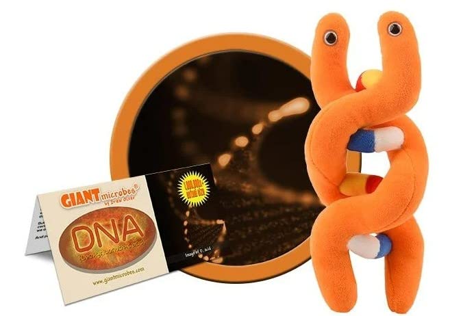 GIANTmicrobes DNA Plush, Genetics Gifts, DNA Gifts, Genetic Counselor Gifts, Genealogy Gifts, Ancestry Gift, Funny Science Teacher Gifts, Forensic
