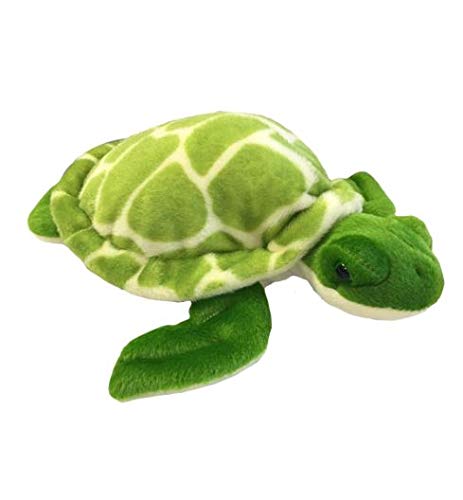 Stuffems Toy Shop Record Your Own Plush 8 inch Shelldon The Turtle - Ready 2 Love in a Few Easy Steps