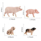 DOYIFUN 4 Pcs Realistic Farm Pig Animals Model Figure Toy Set,Barn Farm Pig Figurines Collection Playset with Farm Keepers, Preschool Science