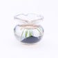 1Pcs Multicolour Mini Round Fish Tank Realistic Glass Decor for Dollhouse Display Captivating Miniature for Crafts Ornaments Handmade