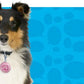 Mattel Puppy Tweets Pink