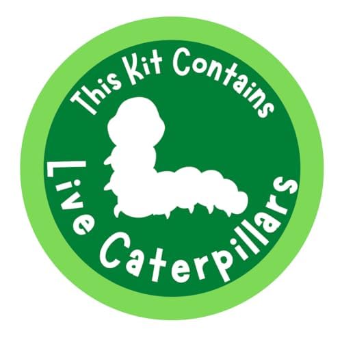 Insect Lore Two Cups of Caterpillars - Butterfly Garden Kit Refill - Raise and Release Painted Lady Butterflies - Includes Two Chrys-A-Lid Holding