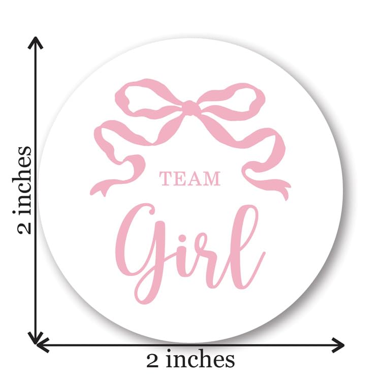 Pink and Blue Bow Gender Reveal Stickers - 40 Labels (20 of Each Design)