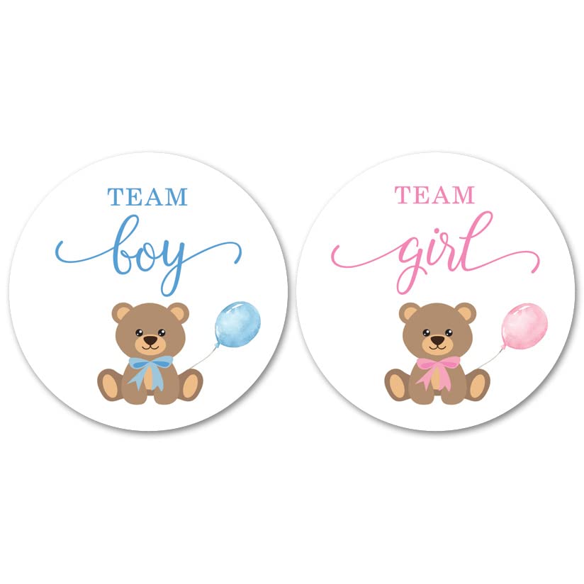 Teddy Bear Gender Reveal Stickers - 40 Labels (20 of Each Design)