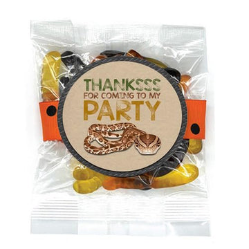 Silly Goose Gifts Thankssss Snake Reptile Themed Birthday Party Favor Stickers Supply Decorations Kraft (24 Included) Thank You for Coming