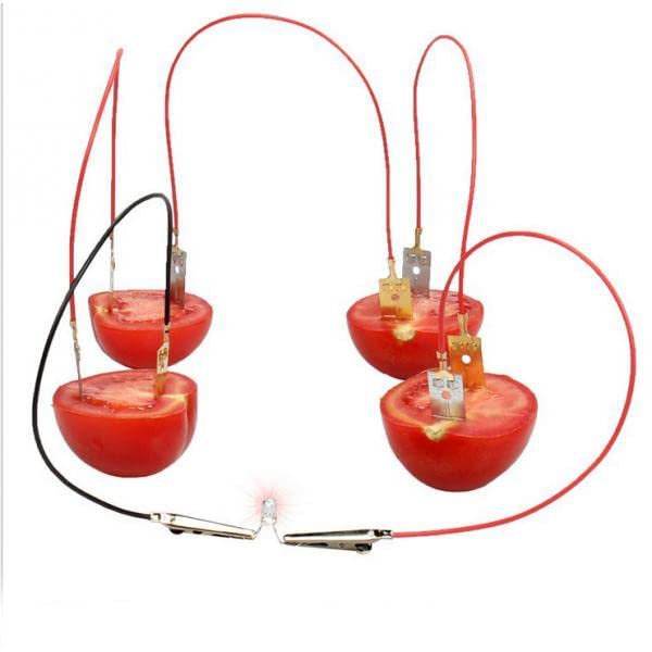 Fruit Battery Power Generation Light Science Kit Lemon