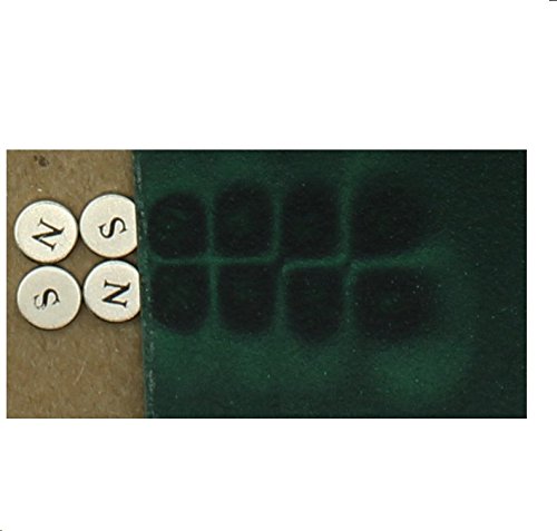 Luganni Magnetic Viewing Film (3 x 4 inches)