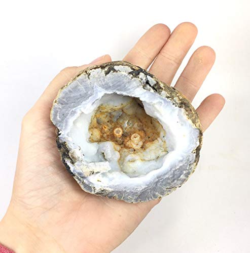 Two XL Whole Break Your Own Geodes Combo Pack - Mexican Trancas | Moroccan Quartz
