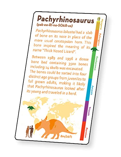 Artgame 3D Dinosaur Fact Cards - Blue