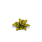 Gamers Grass - Laser Plants - Dumb Cane