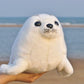 14 Inch Sea Lion Plush Toys Seal Stuffed Plush Toys Animal Doll