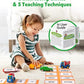 Coogam Sight Words Educational Flashcards - 220 Dolch Sightwords Game with Pictures & Sentences,Literacy Learning Reading Cards Toy
