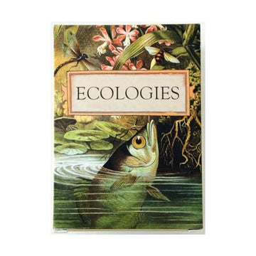 Montrose Biology Ecologies Card Game - Use Science to Build Food Webs in 7 Biomes - Beautiful Vintage Nature Art for The Classroom or Game Night
