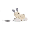 Bigjigs Toys FSC® Certified Bunny & Baby Pull Along Toy - Eco-Friendly Rabbit Pull Along with Cord & Baby Bunny Push-Along, Quality Pull Along Toys