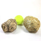 Two XL Whole Break Your Own Geodes Combo Pack - Mexican Trancas | Moroccan Quartz