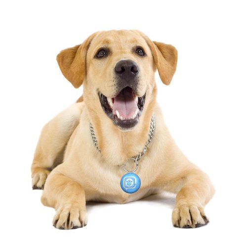 Mattel Puppy Tweets Blue