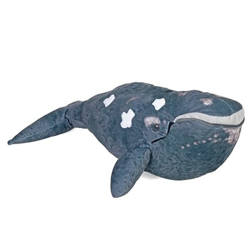 Wild Republic Cuddlekins Eco Northern Right Whale, Stuffed Animal, 17 Inches, Plush Toy, Eco-Friendly