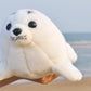 14 Inch Sea Lion Plush Toys Seal Stuffed Plush Toys Animal Doll