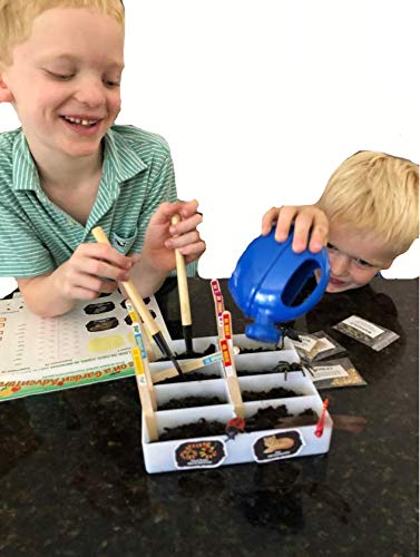 Nature Series: Science on a Garden Adventure