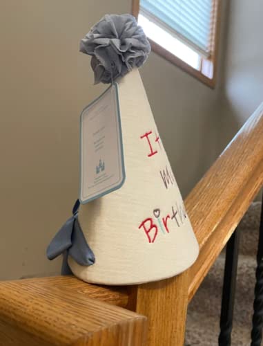 Ricki and Richi It is my Birthday - Kid/Teen/Adult Party Hat with Ribbon (Blue Ribbon)