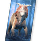 Artgame 3D Dinosaur Fact Cards - Blue