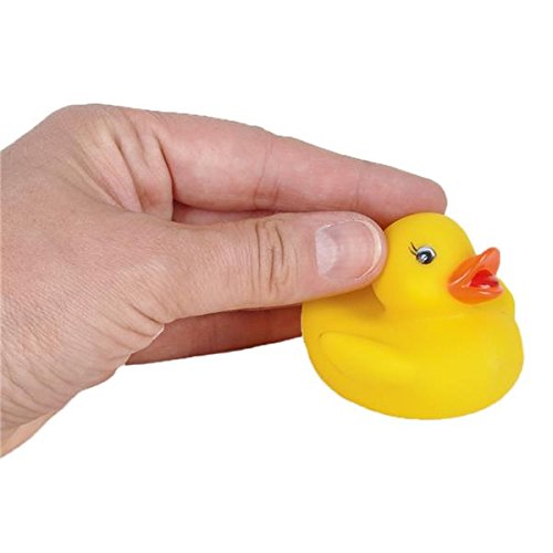 2 Inch Baby Rubber Ducks (12 Piece)
