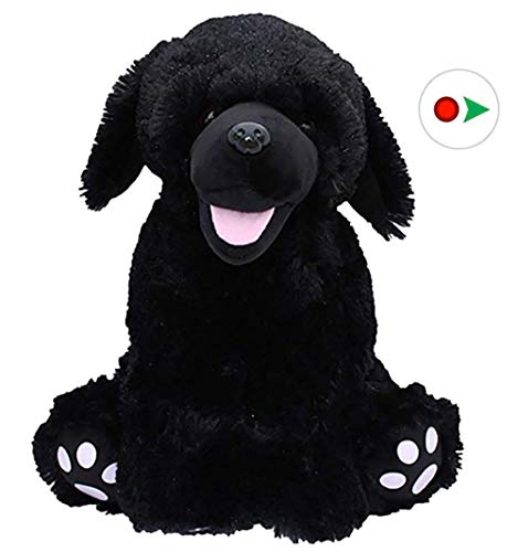 Stuffems Toy Shop Record Your Own Plush 16 inch Black Lab - Ready to Love in A Few Easy Steps