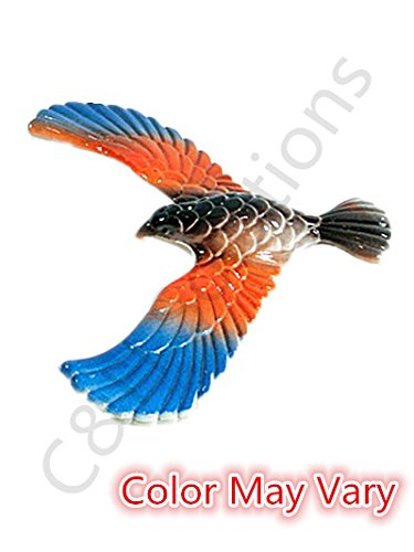 C&H Solutions Glass Science Toy Energy Hand Boiler (Red) + Colorful Balances Bird (Color May Vary)