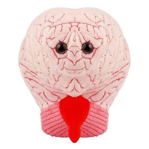 GIANT MICROBES Brain Plush - Anatomical Brain with Embroidered Details