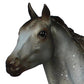 Breyer Classics Wild Blue: Book and Horse Toy Set (1:12 Scale)