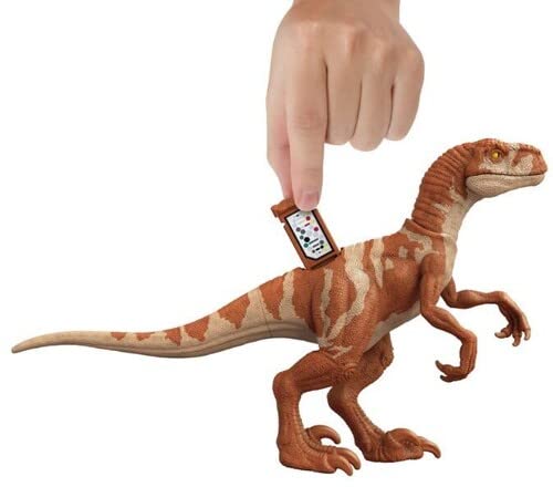 Jurassic World Dominion Velociraptor Blue vs Atrociraptor Dino Battle 2 Pack Dinosaur Figures HFY46