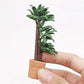 SXFSE Dollhouse Decoration Accessories, 1:12 Toy House Miniature Scene Model Potted Green Plant Posing Fortune Tree Pretend Toys