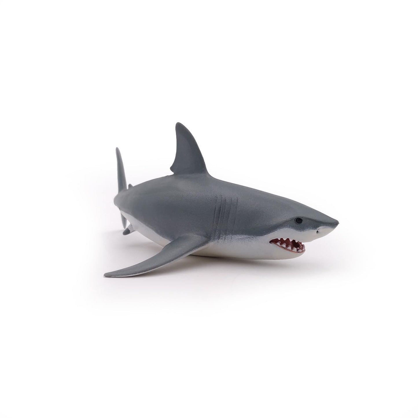 Papo - hand-painted - figurine - Marine Life - White Shark Figure-56002 - Collectible - For Children - Suitable for Boys and Girls - From 3 years old
