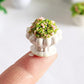4 Pcs Dollhouse Plant Bonsai Doll House Mini Potted Plant Artificial Tiny Mini Flowerpot Miniature Hanging Potted Plant Miniature Dollhouse Kit