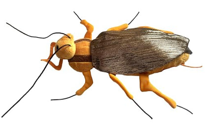 GIANTmicrobes Cockroach Plush - Learn About This Common Crawler with This Cuddly Plush, Unique Gift for Friends, Family, Educators, Students,