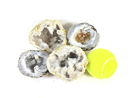 Two XL Whole Break Your Own Geodes Combo Pack - Mexican Trancas | Moroccan Quartz