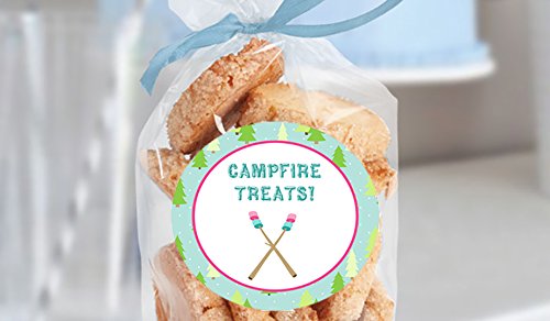 Glamping Girl Camping Pink Party Invitations Supply Decoration Decor (Sticker Favors)