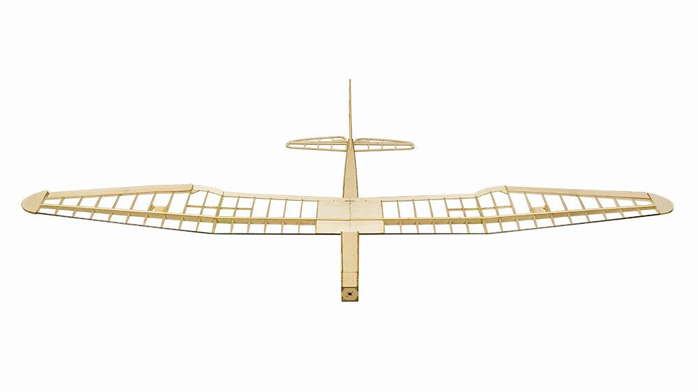 Dancing Wings Hobby Balsa Wood Radio Remote Controlled Electric F16 Glider Sunbird Need to Build (F1601B)