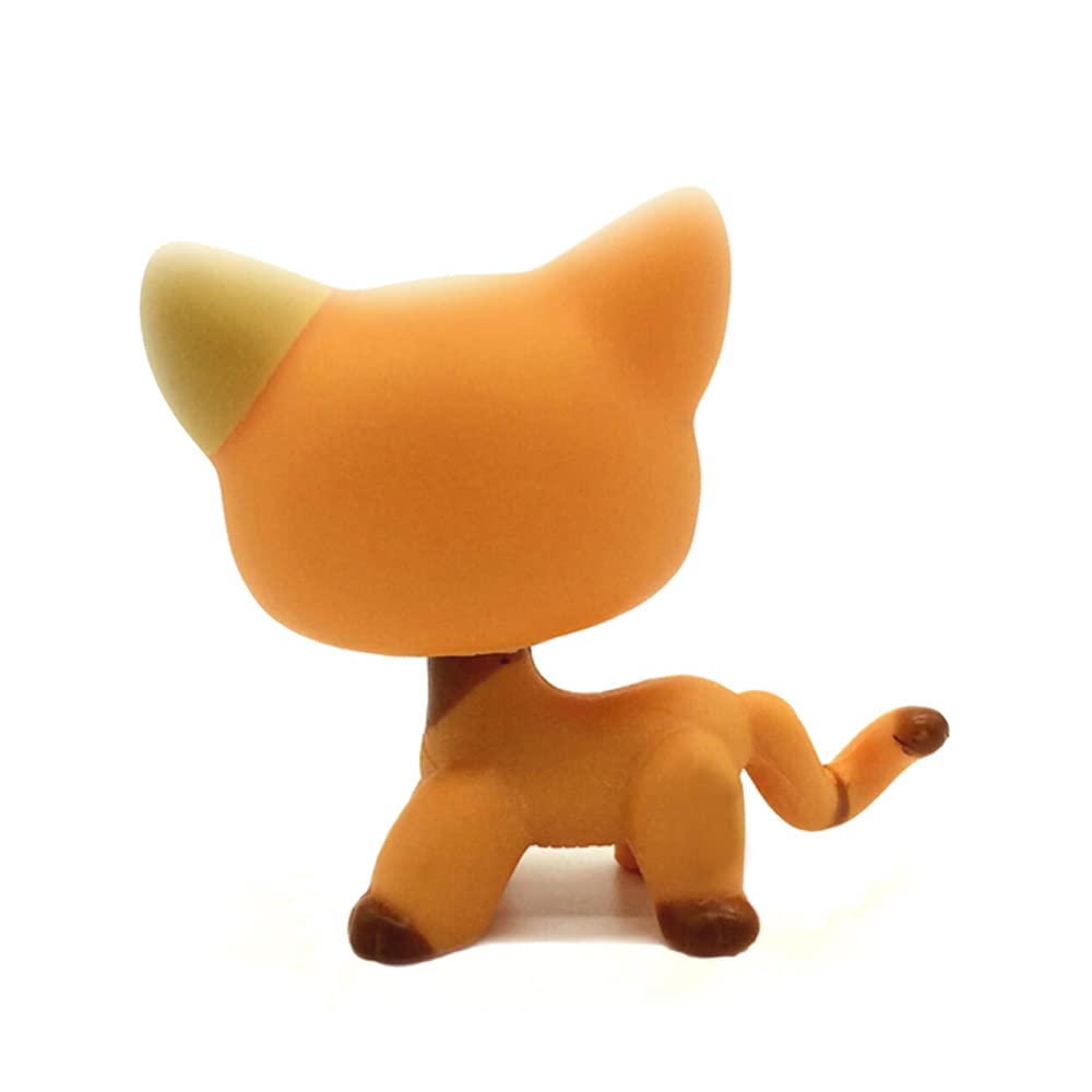 CFCLLBR Mini Pet Toys #1643 Orange Short Hair Cat Flower Animal Figure