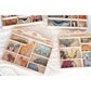 Tender Leaf Toys Dinosaur Animals - 8 Wooden Prehistoric Figurines with a Display Shelf - Classic Toy for Pretend Play - Develops Creative