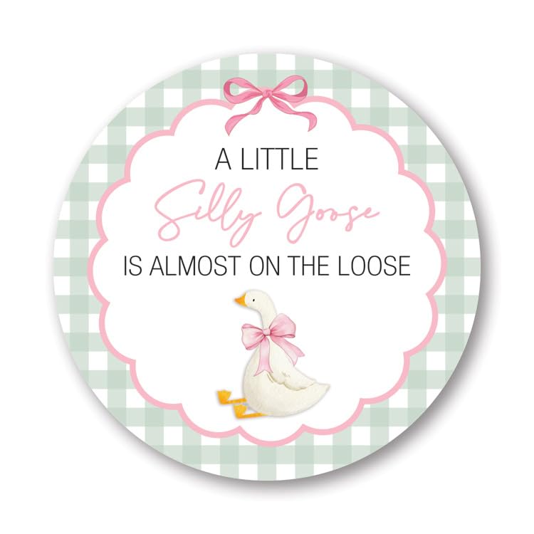 A Little Silly Goose is Almost on The Loose, Baby Shower Sticker, Gingham Pattern with Goose Theme, Round Label - Set of 40 (Pink)