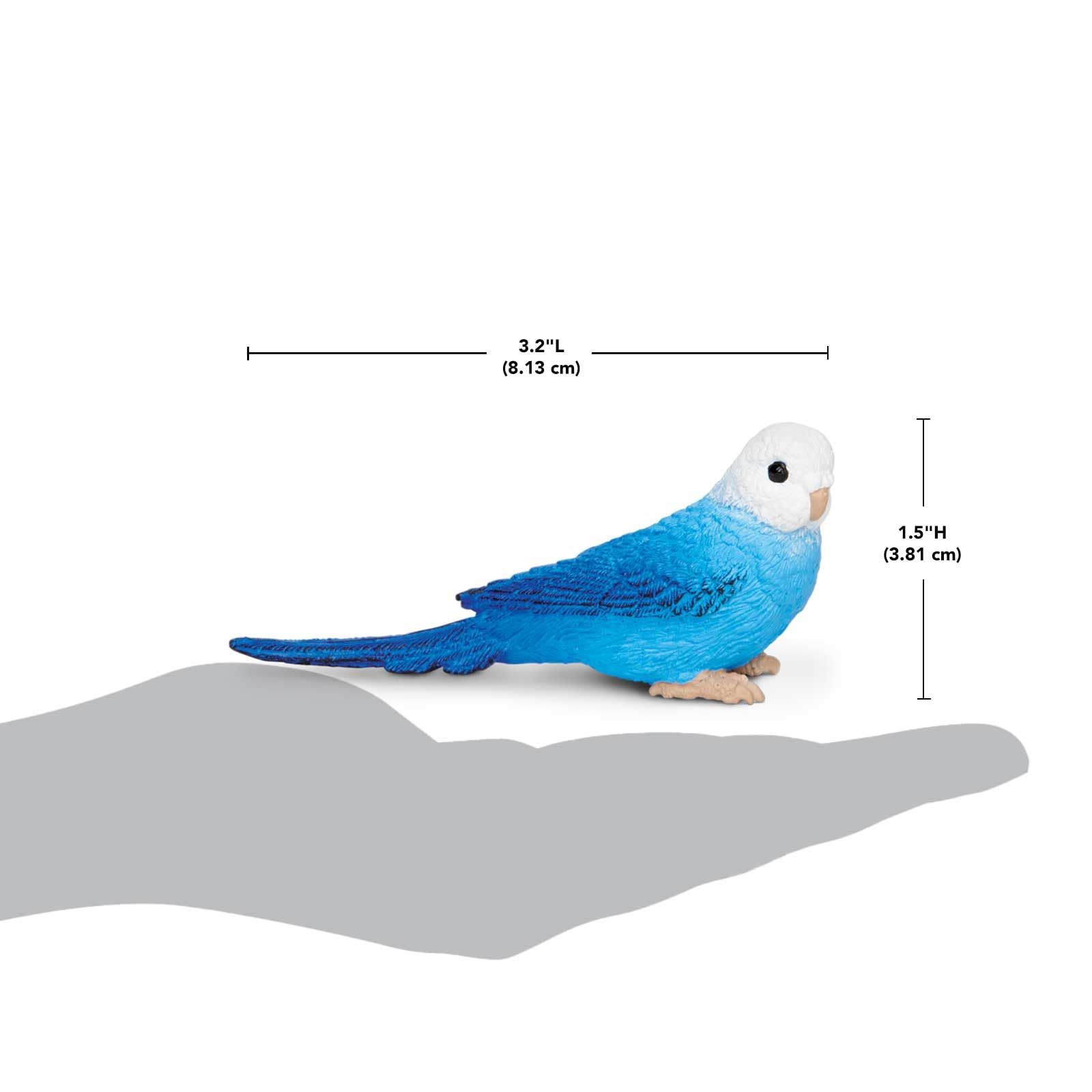 Safari Ltd. Blue Budgie Figurine - Detailed 3" Plastic Model Figure - Fun Educational Play Toy for Boys, Girls & Kids Ages 3+