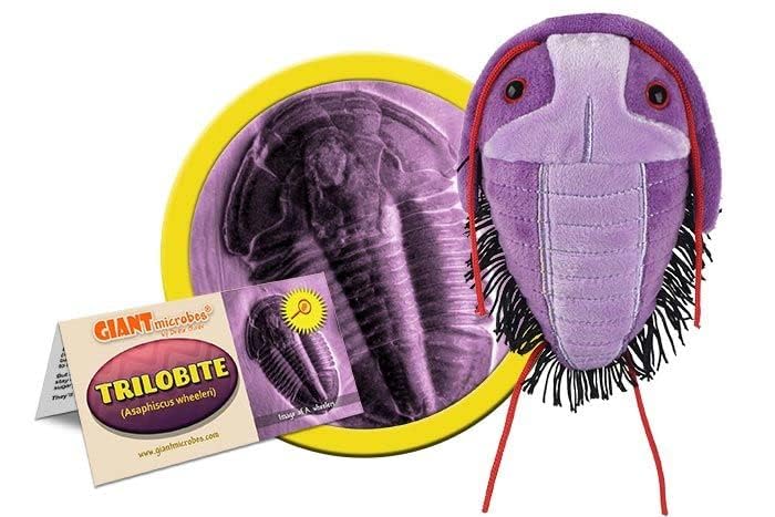 GIANT MICROBES Fuzzy Fossils Trilobite Plush - Learn About Fossils and Prehistoric Creatures, Unique Gift for Family, Friends, Scientists, Nature