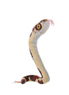 Wild Republic Coilkins Blunt Headed Tree Snake Stuffed Animal - 12"