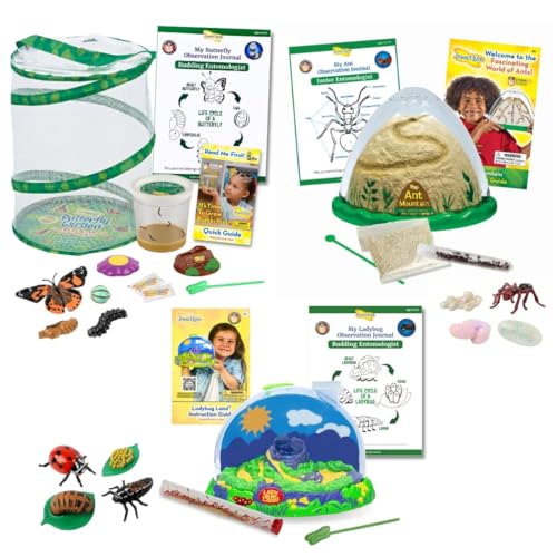 Insect Lore Bug Camp Bundle - Butterfly Kit with 5 Live Caterpillars, Ladybug Land with 1 Tube Live Larvae, Ant Mountain with 1 Tube Live Western