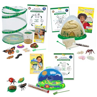 Insect Lore Bug Camp Bundle - Butterfly Kit with 5 Live Caterpillars, Ladybug Land with 1 Tube Live Larvae, Ant Mountain with 1 Tube Live Western