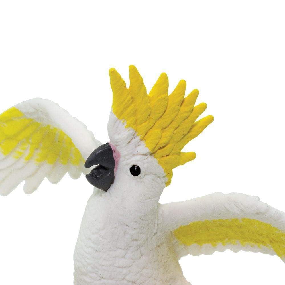 Safari Ltd. Cockatoo Figurine - Lifelike 3.75" Plastic Bird Figure - Educational Toy for Boys, Girls, and Kids Ages 3+