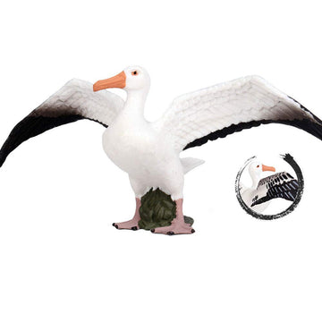 FLORMOON Albatross Figure Realistic Animal Figurines Early Educational Bird Toy Science Project Christmas Birthday Cake Topper for Kids Toddler
