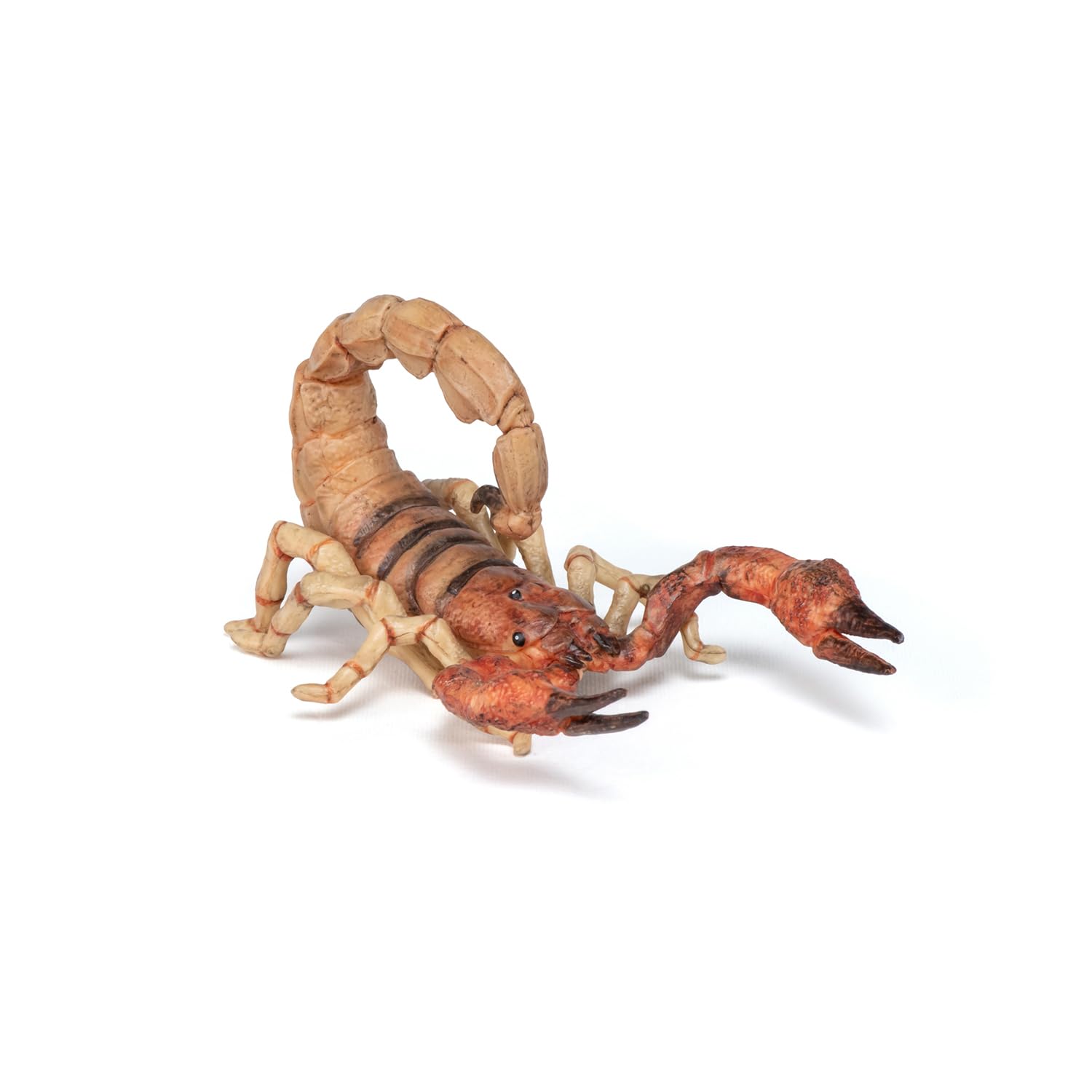 Papo - Realistic Scorpion Figure - Ages 3+ - Garden Animals Collection - Educational Play Insects - Gift Idea Toy for Girls and Boys